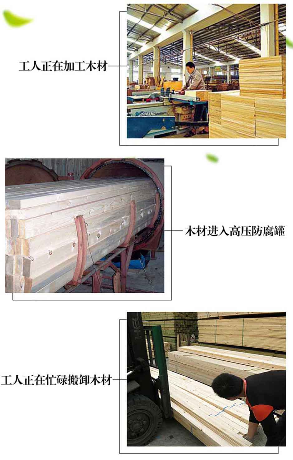 樟子松多少錢一方